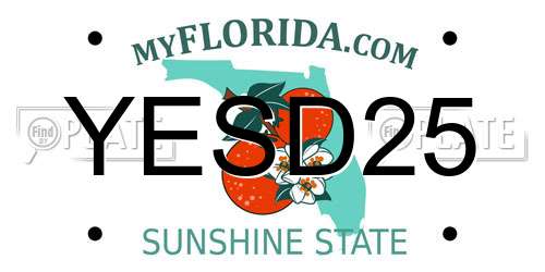 YESD25 Florida License Plate