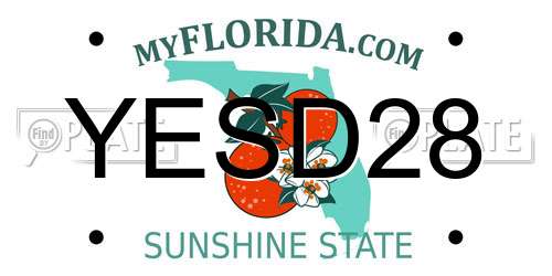 YESD28 Florida License Plate