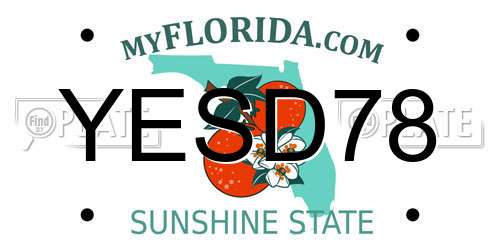 YESD78 Florida License Plate