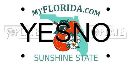 YESNO Florida License Plate