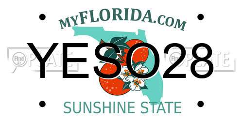 YESO28 Florida License Plate