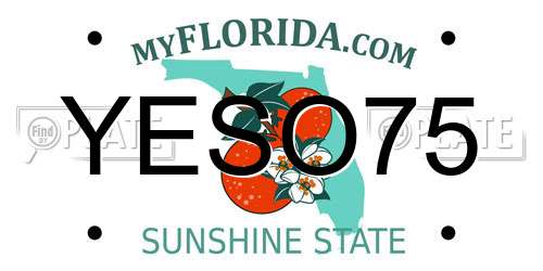 YESO75 Florida License Plate