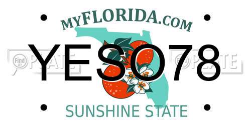 YESO78 Florida License Plate