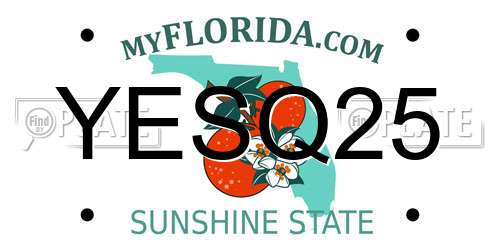 YESQ25 Florida License Plate