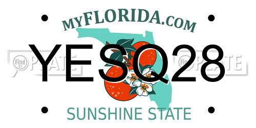 YESQ28 Florida License Plate