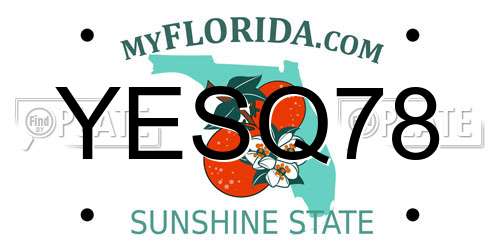 YESQ78 Florida License Plate