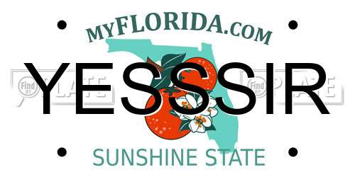 YESSSIR Florida License Plate
