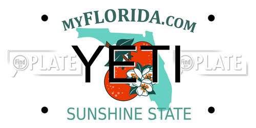 YETI Florida License Plate