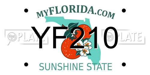 YF210 Florida License Plate