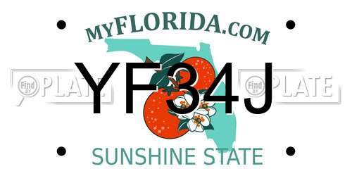 YF34J Florida License Plate