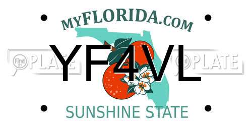 YF4VL Florida License Plate