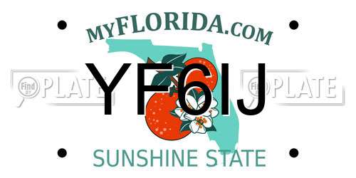 YF6IJ Florida License Plate