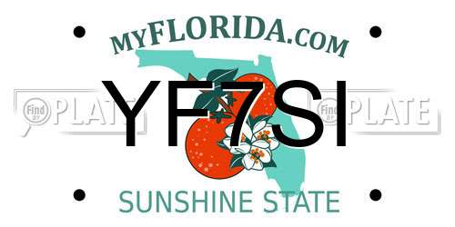 YF7SI Florida License Plate