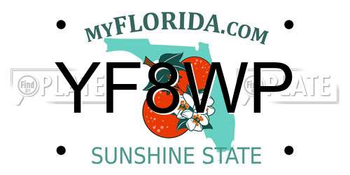 YF8WP Florida License Plate
