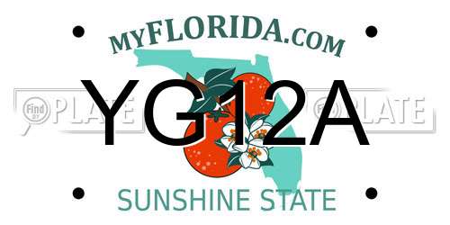 YG12A Florida License Plate