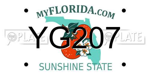 YG207 Florida License Plate