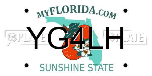 YG4LH Florida License Plate