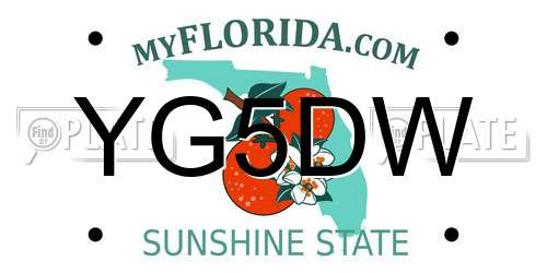YG5DW Florida License Plate