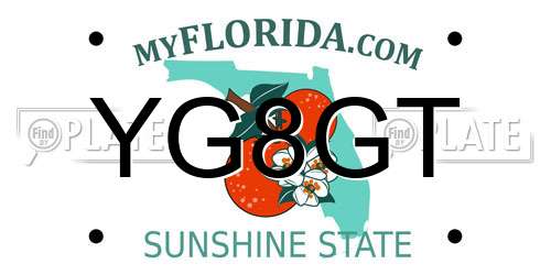 YG8GT Florida License Plate