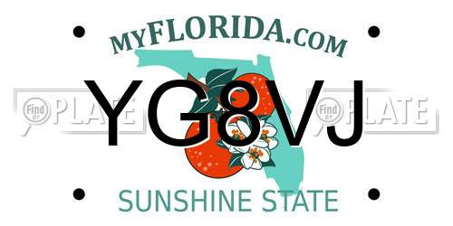 YG8VJ Florida License Plate
