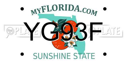 YG93F Florida License Plate