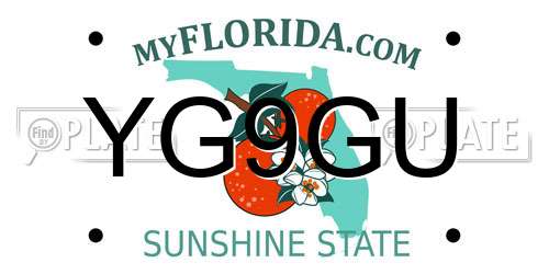 YG9GU Florida License Plate