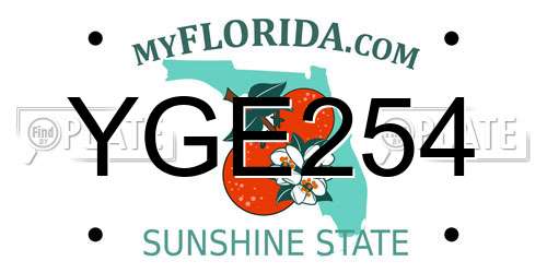 YGE254 Florida License Plate