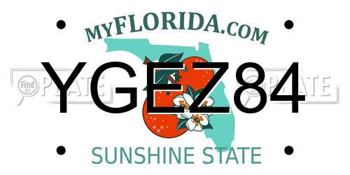 YGEZ84 Florida License Plate