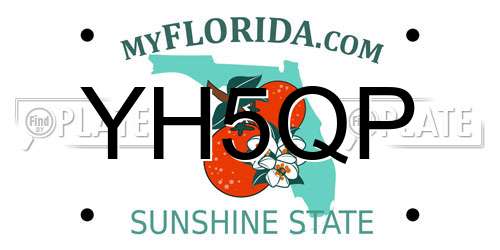 YH5QP Florida License Plate