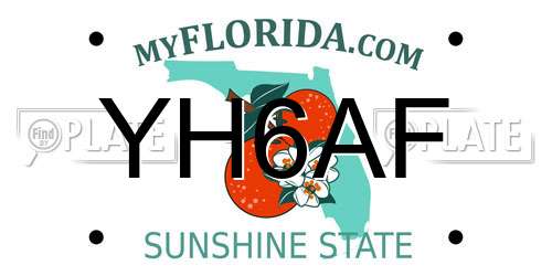 YH6AF Florida License Plate