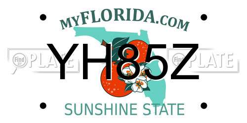 YH85Z Florida License Plate