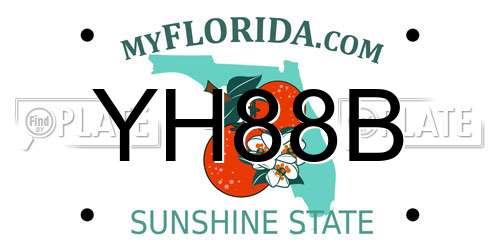 YH88B Florida License Plate