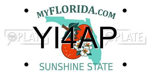 YI4AP Florida License Plate