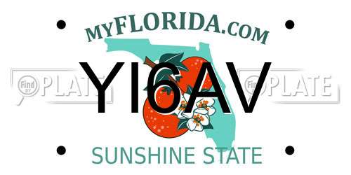 YI6AV Florida License Plate