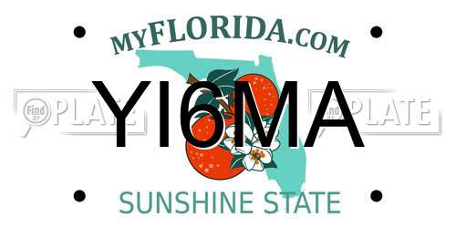 YI6MA Florida License Plate