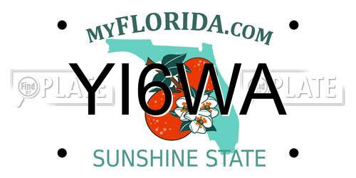 YI6WA Florida License Plate