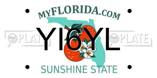 YI6YL Florida License Plate