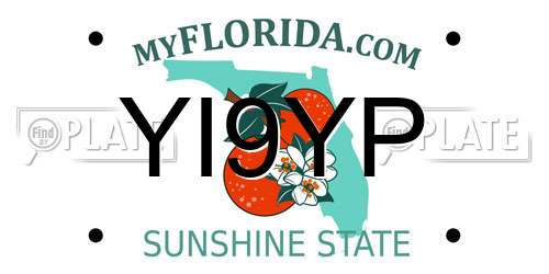 YI9YP Florida License Plate