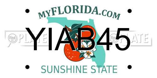YIAB45 Florida License Plate