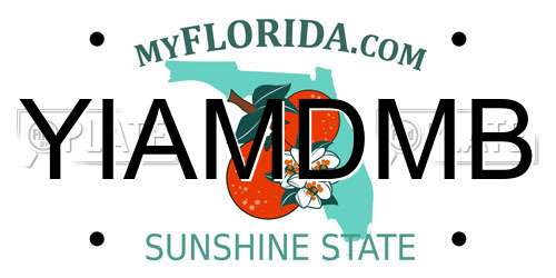 YIAMDMB Florida License Plate