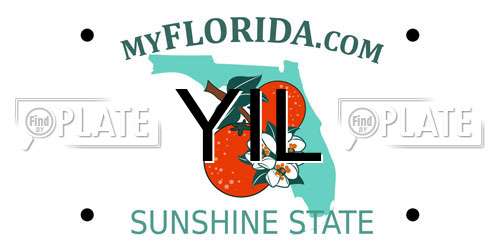 YIL Florida License Plate
