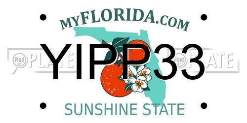YIPP33 Florida License Plate