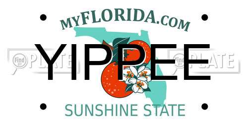 YIPPEE Florida License Plate
