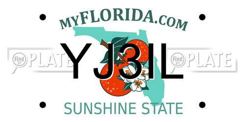 YJ3IL Florida License Plate