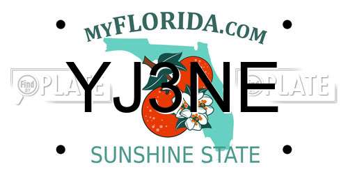 YJ3NE Florida License Plate