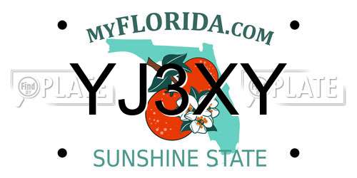 YJ3XY Florida License Plate