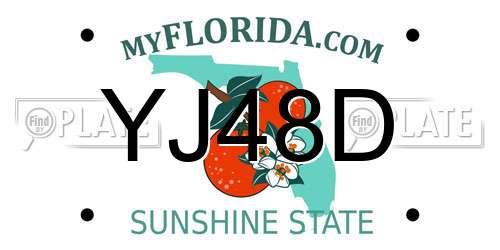 YJ48D Florida License Plate
