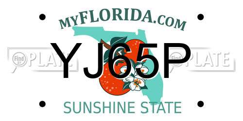 YJ65P Florida License Plate