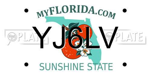 YJ6LV Florida License Plate