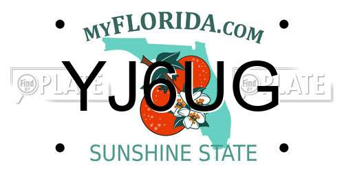 YJ6UG Florida License Plate